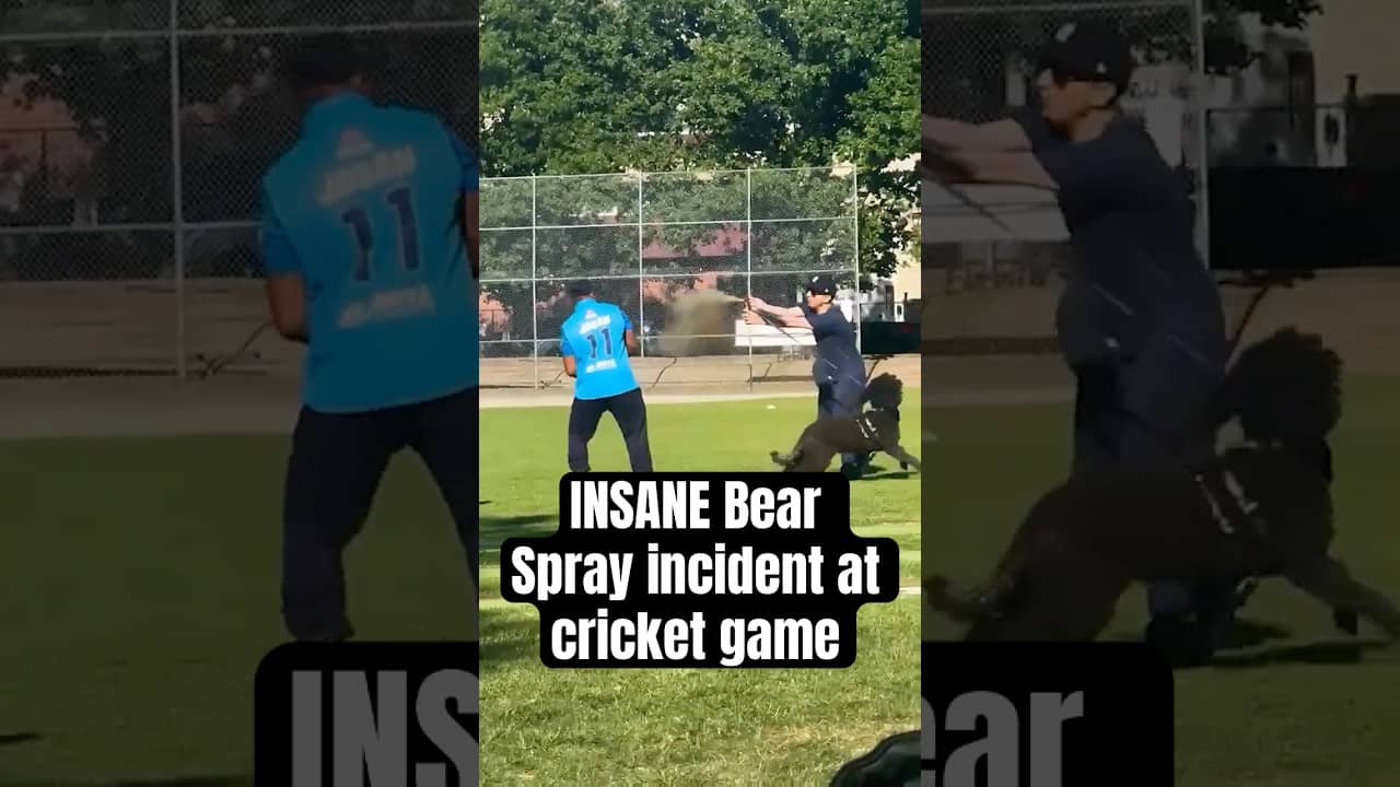 INSANE Bear Spray incident at cricket game