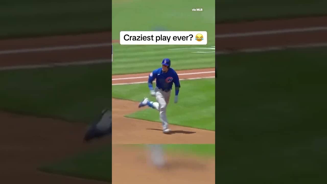 Cubs bench reaction says it all 🤣