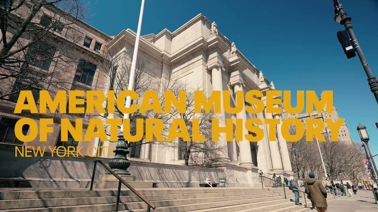 Nick Gonzales and Spencer Horwitz Explore the American Museum of Natural History in NYC