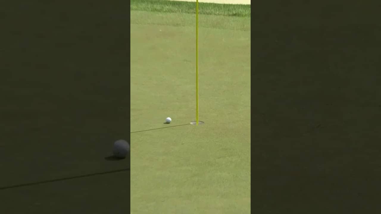 Perfect escape from the rough 🦅