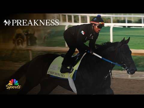 151st Preakness Stakes betting field is 'wide open' | NBC Sports