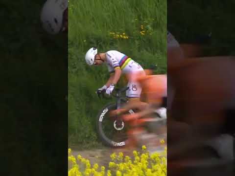 PUNCTURE FOR POGACAR 😱 The world champion is off the back and riding a Shimano neutral service bike!
