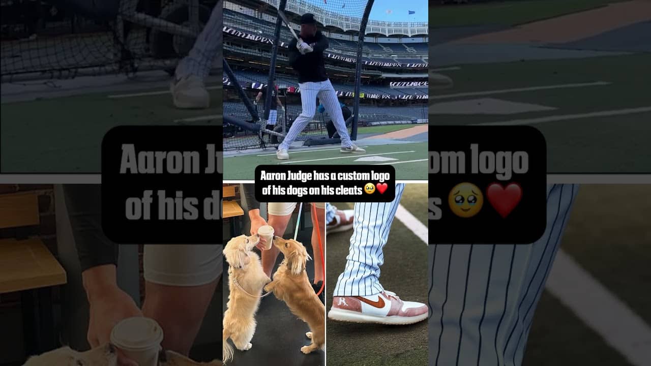 Aaron Judge has his dogs Penny & Gus on his cleats ❤️ (via Yankees, thejudge44/IG)