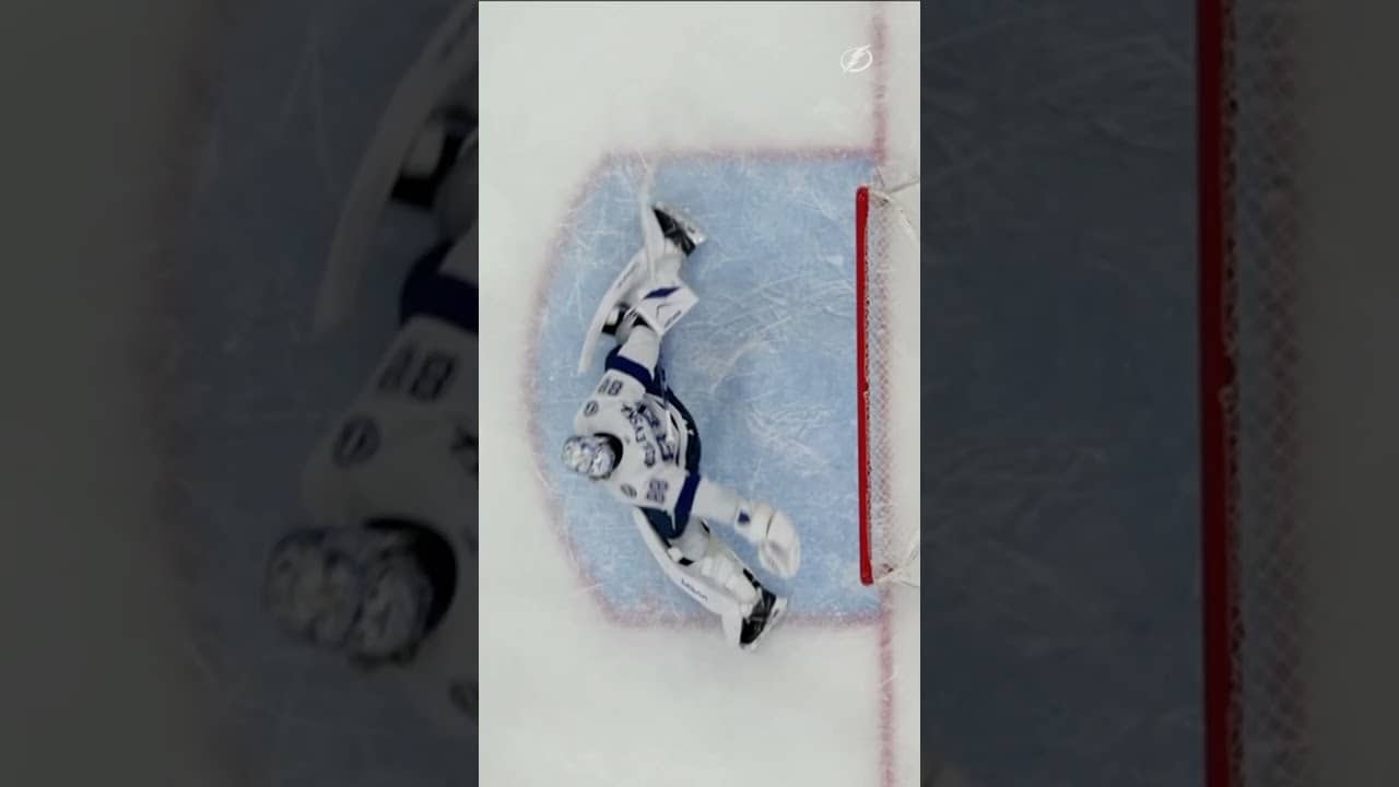 Vasy, Vasy, Vasy, Vasy 🦁