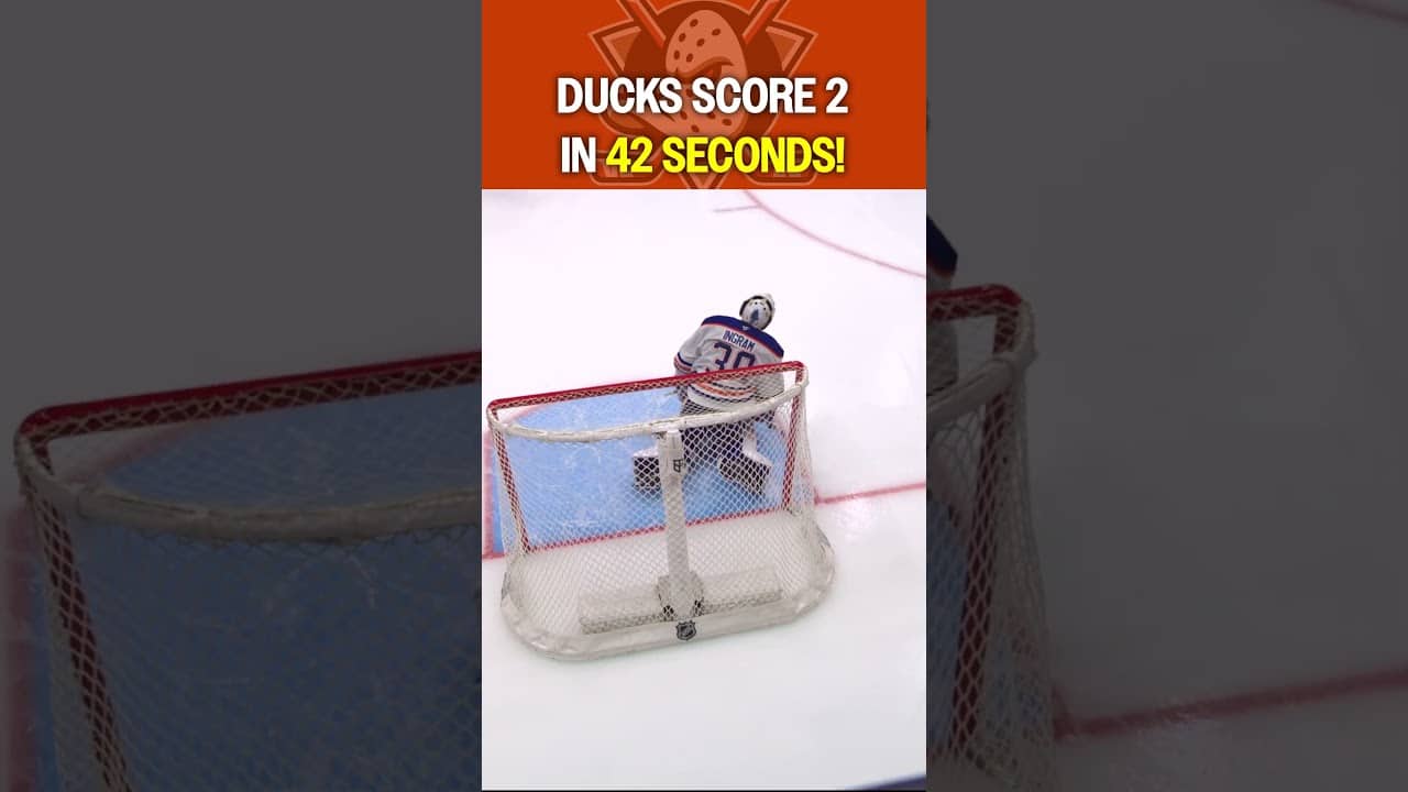 Quack attack is BACK, JACK! 🦆🦆🦆