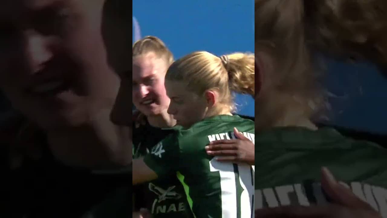 Minge-Tor aus unmöglichem Winkel 🔥