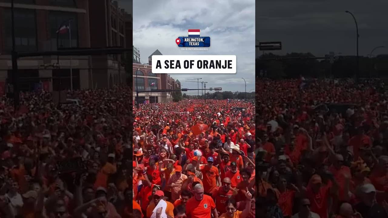 What a view from the Dutch Orange Bus 🇳🇱