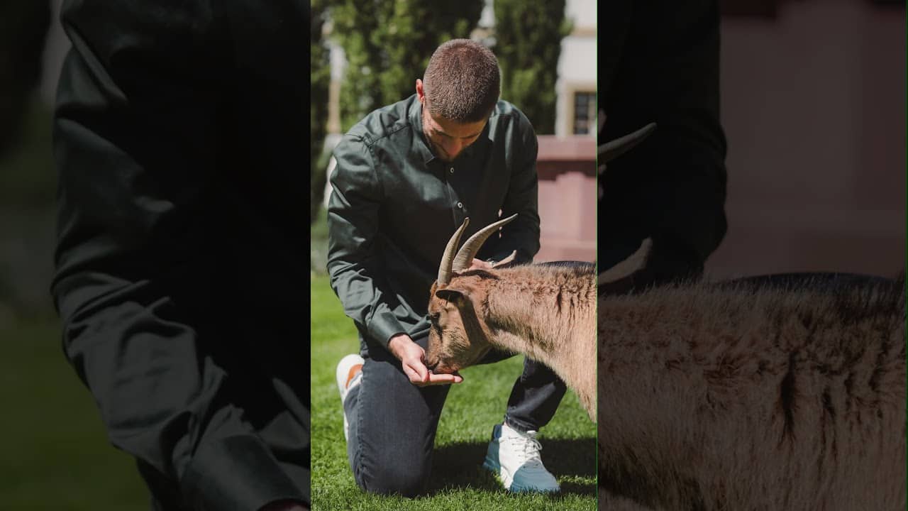 Behind the Ziege 🐐​ #hoffenheim  #tsg #andrejkramaric