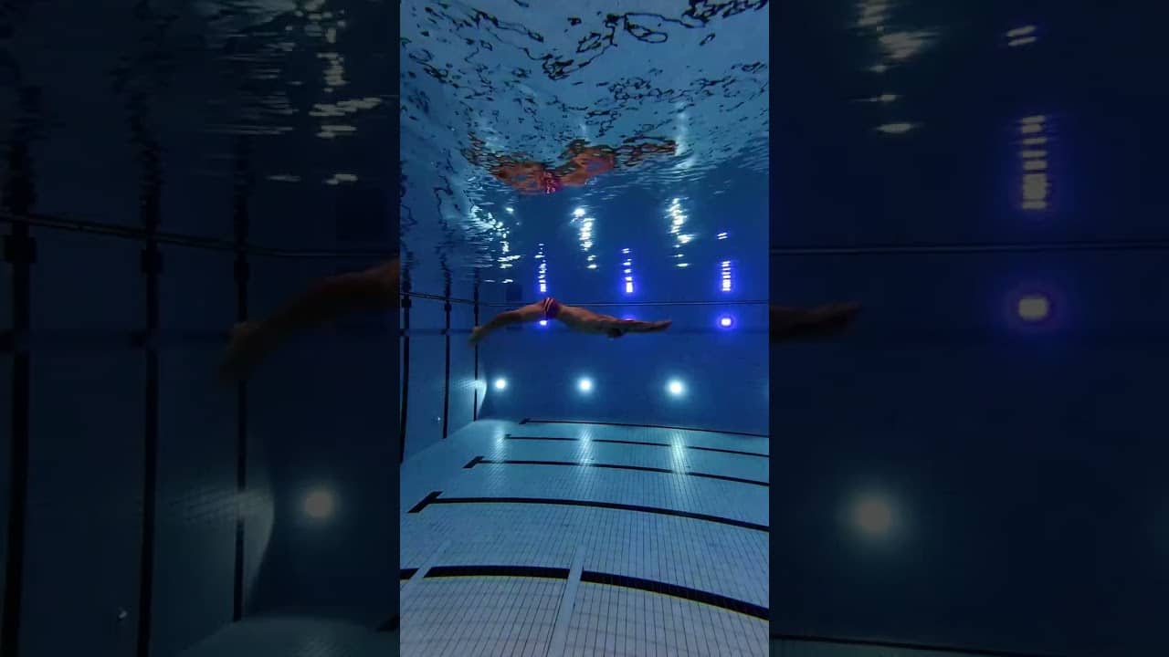 The breaststroke pullout is comprised of three propulsive phases, the first being the dolphin kick.