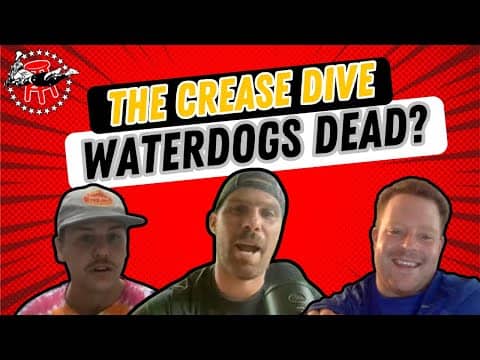 THE CREASE DIVE 7/25 -- ARE THE WATERDOGS DEAD??