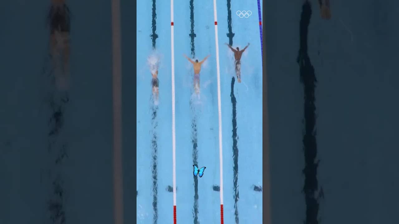 POV: You're a butterfly watching the men's 100m butterfly at #Paris2024. #Olympics