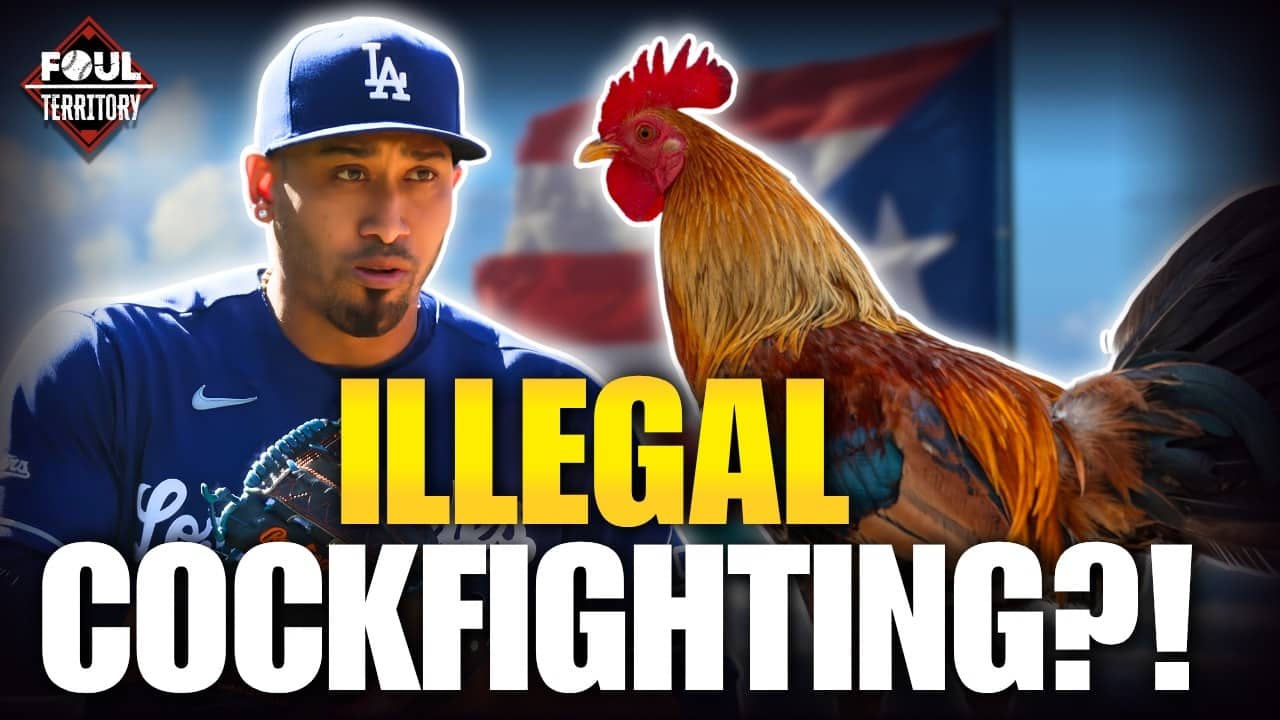 Edwin Díaz Linked To Illegal Cockfighting Allegations