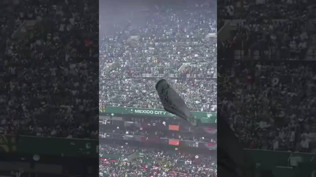 Vamos Mexico 🇲🇽