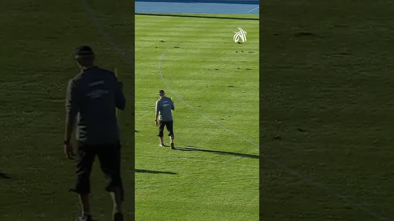 "Absolutely Massive" ⚡️