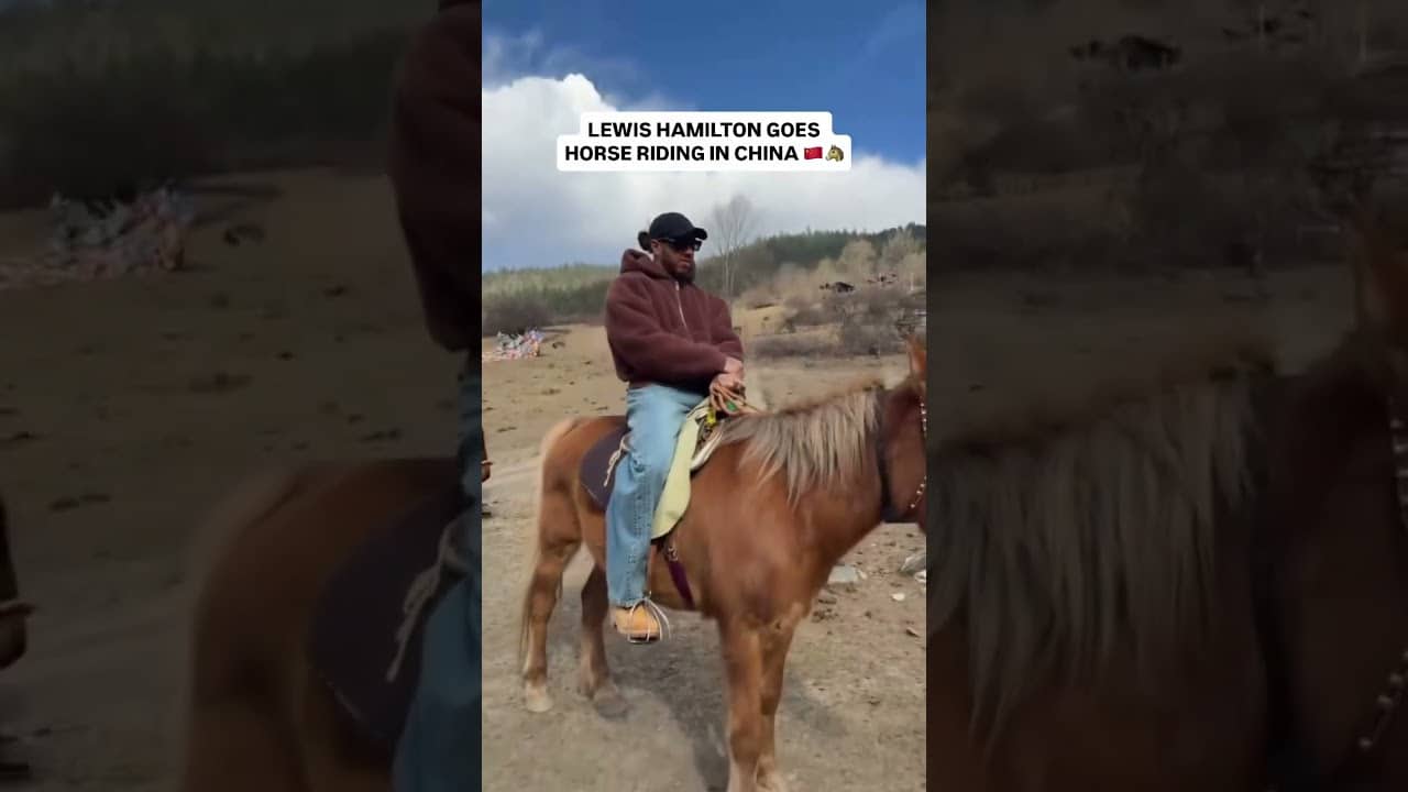 'How does it suit me?' 😂🐴 (via @lewishamilton/IG)