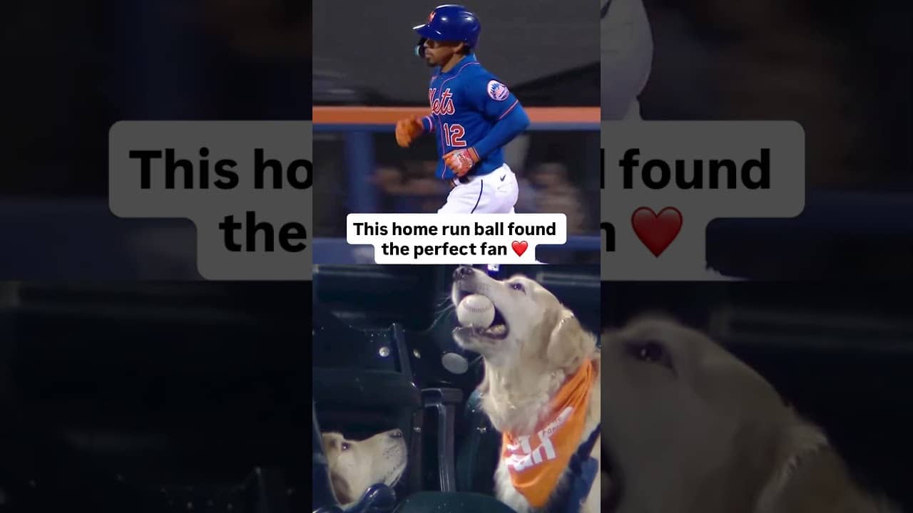 This home run ball couldn't have gone to a more deserving fan 🐶❤️