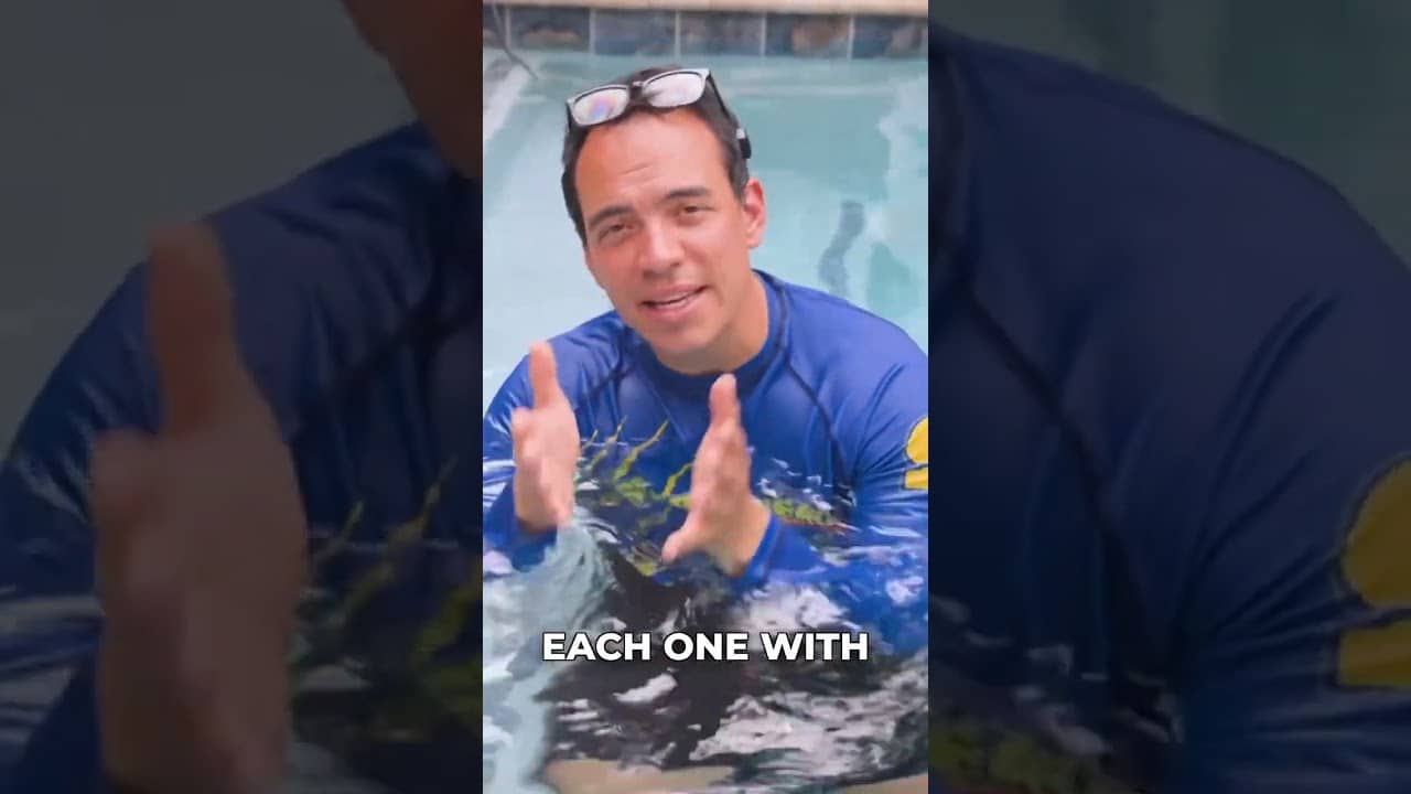 Stop! Build Swim Confidence Before Teaching Them to Swim!