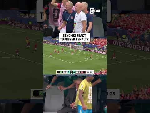Ståle Solbakken and Carlo Ancelotti both react to Ørjan Nyland's penalty save for Norway