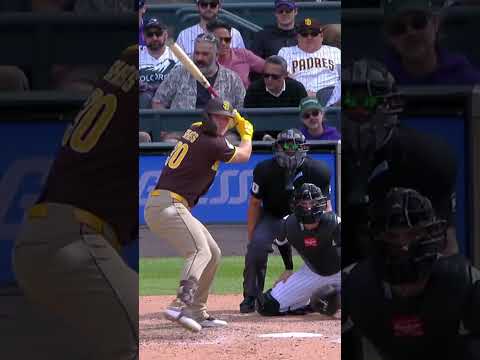 Gavin Sheets hit a GO-AHEAD HOMER in the 9th on HIS BIRTHDAY!