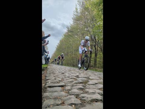 It’s scary how fast the riders take the savage Forest of Arenberg 😳🌳