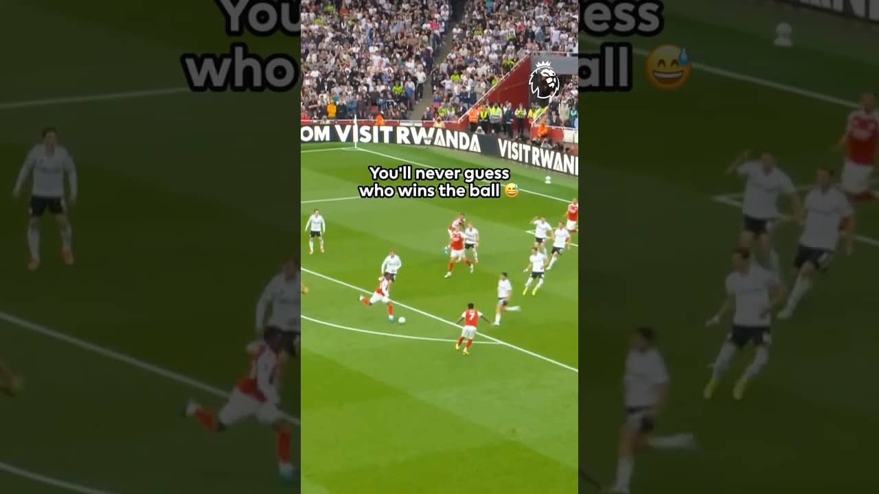 Where Did He Come From?! 😂
