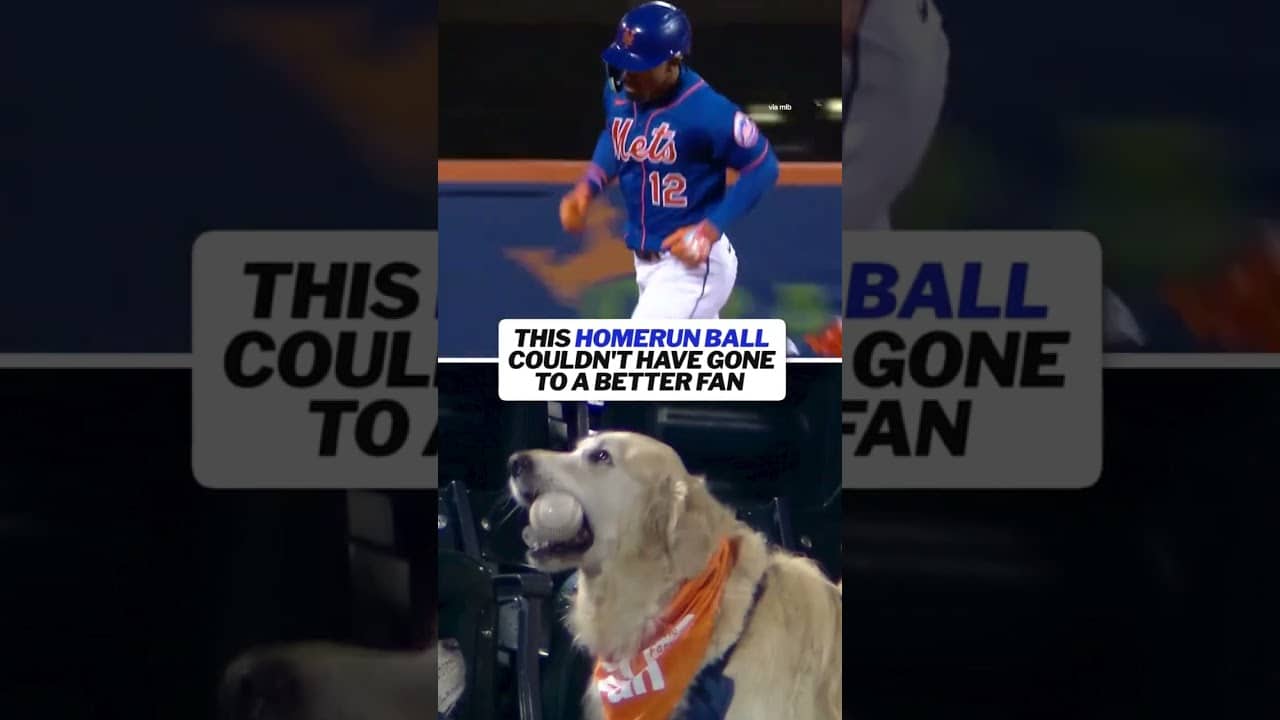 This home run was secured ✅ 🐾
