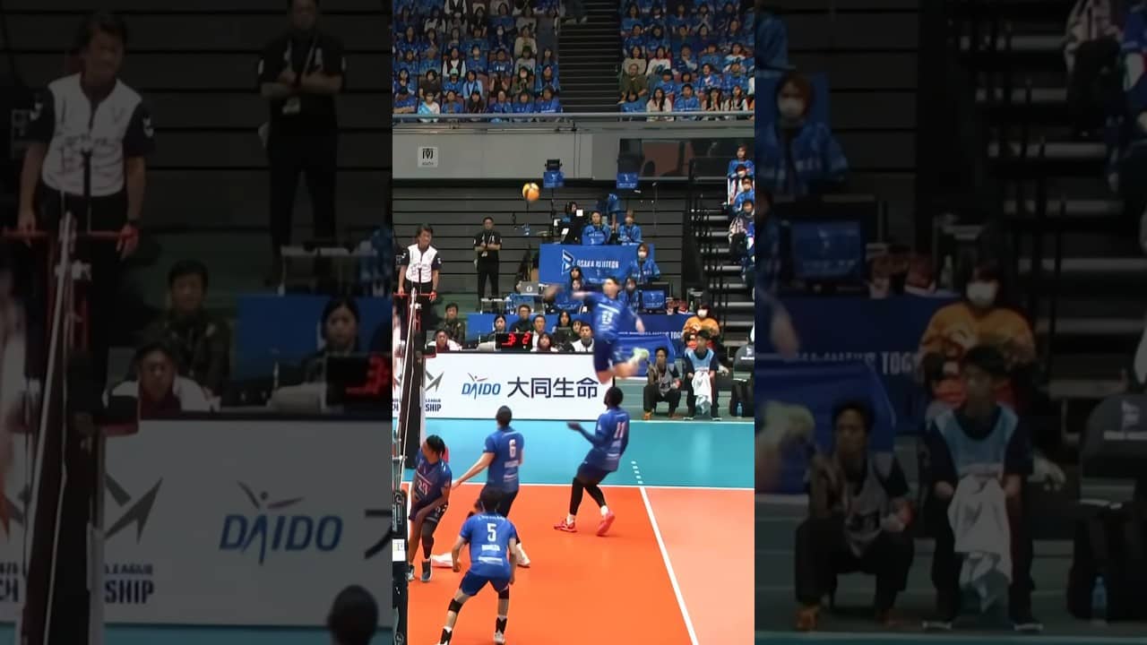 What was that jump?! 💀 #volleyball #japan #nishida #spike #svleague