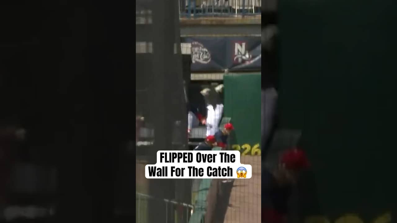 Prospect Jay Harry ran through a wall (literally) to make this catch π± #BlueJays #FisherCats