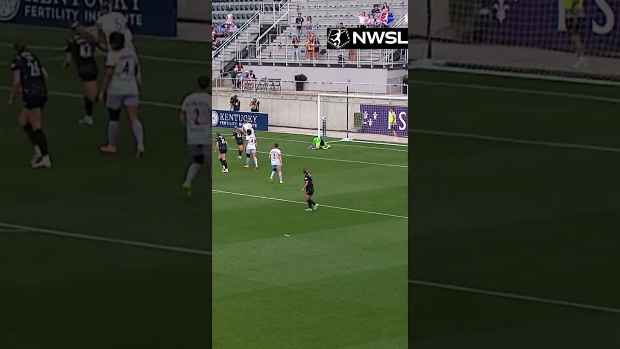 Diving ❌ Flying ✔️