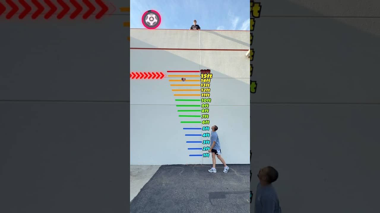 Which Ball Bounces the Highest?