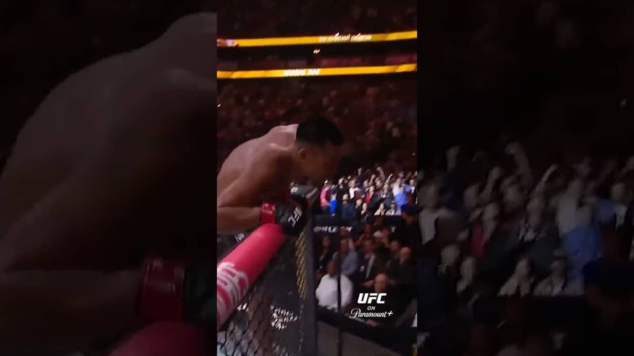VAN GET'S THE 5TH ROUND TKO #ufc328