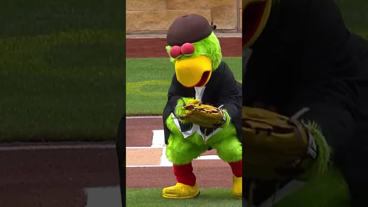6 weeks of fastballs from Punxsutawney Phil