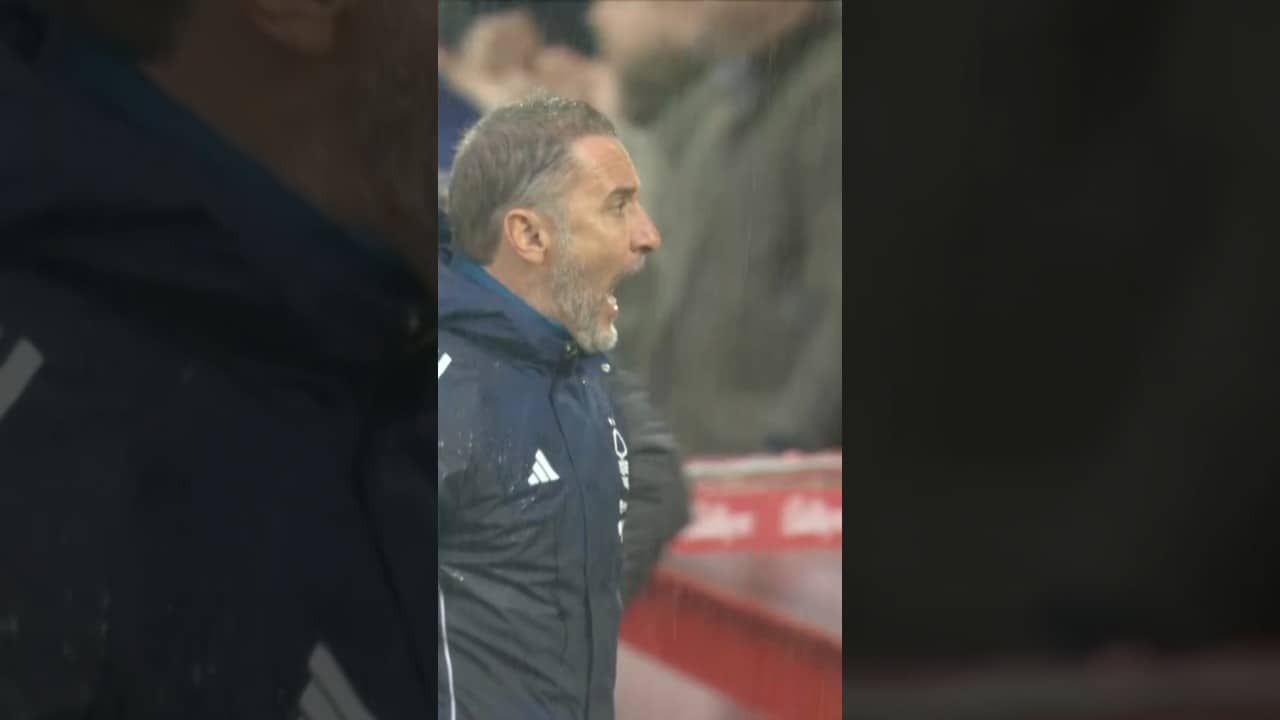 Vítor’s reaction to Neco’s equaliser. ❤️