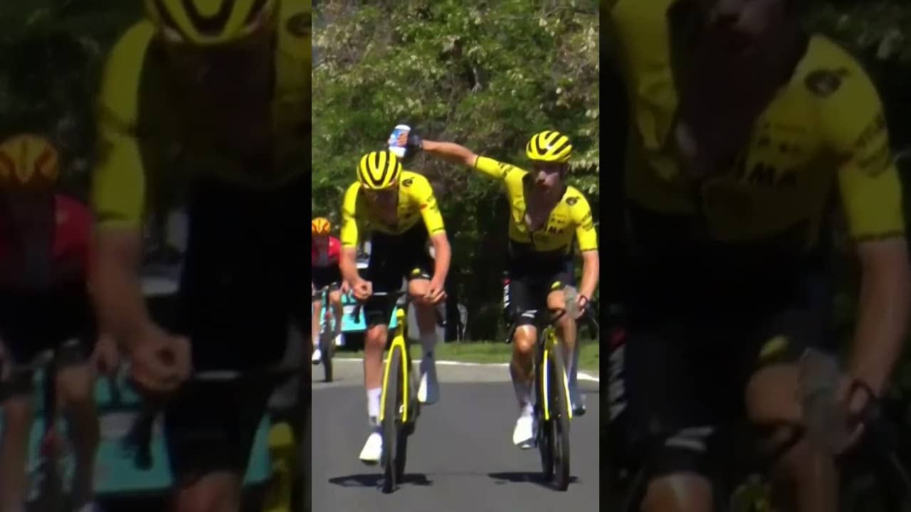 Tim Rex has given it his ALL for the team 💪🐝  What an effort from the young Belgian at the Giro.