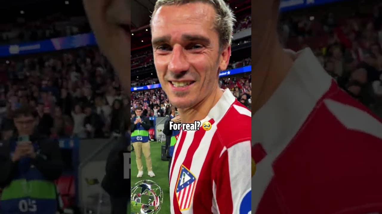 🇫🇷🏆 MVP Grizi