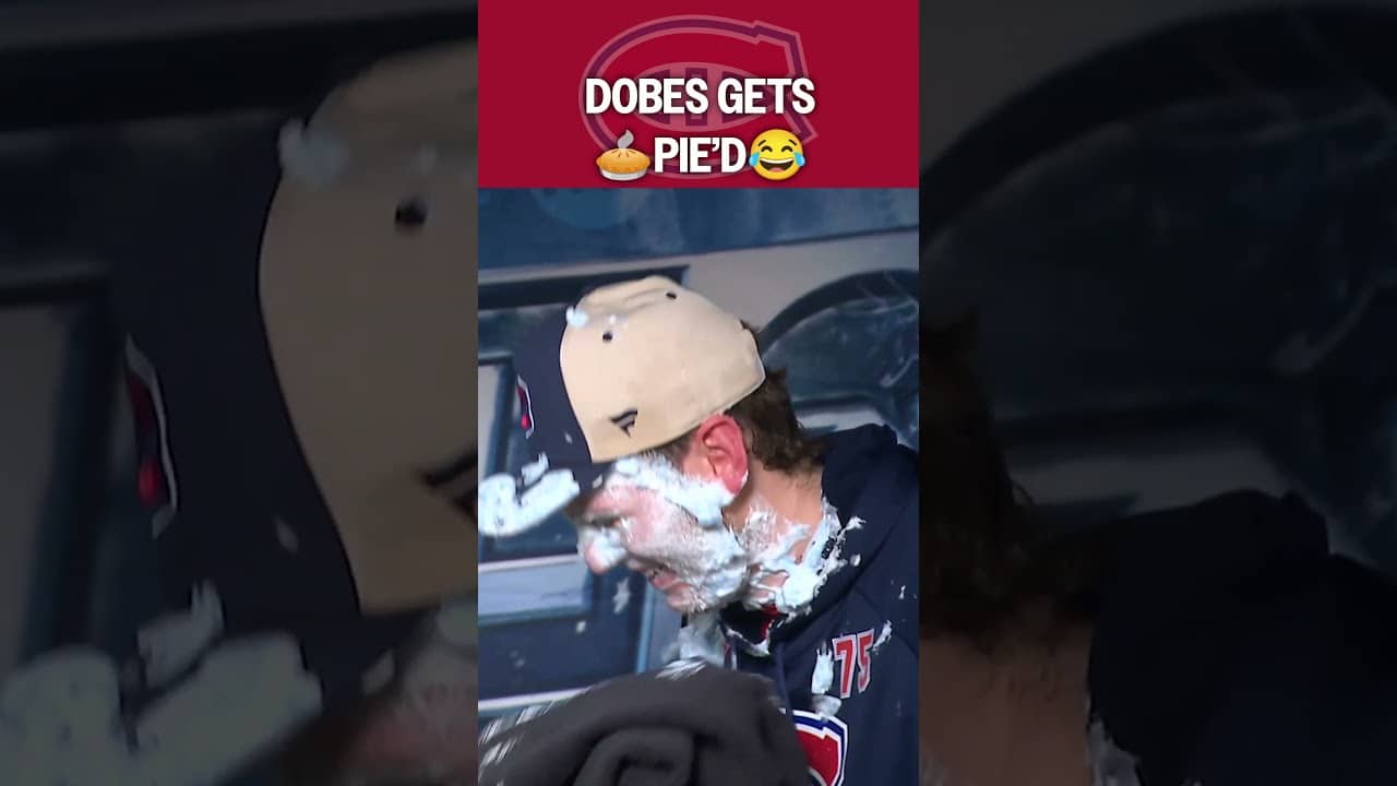 Pie to the Face for Dobes 🥧😂