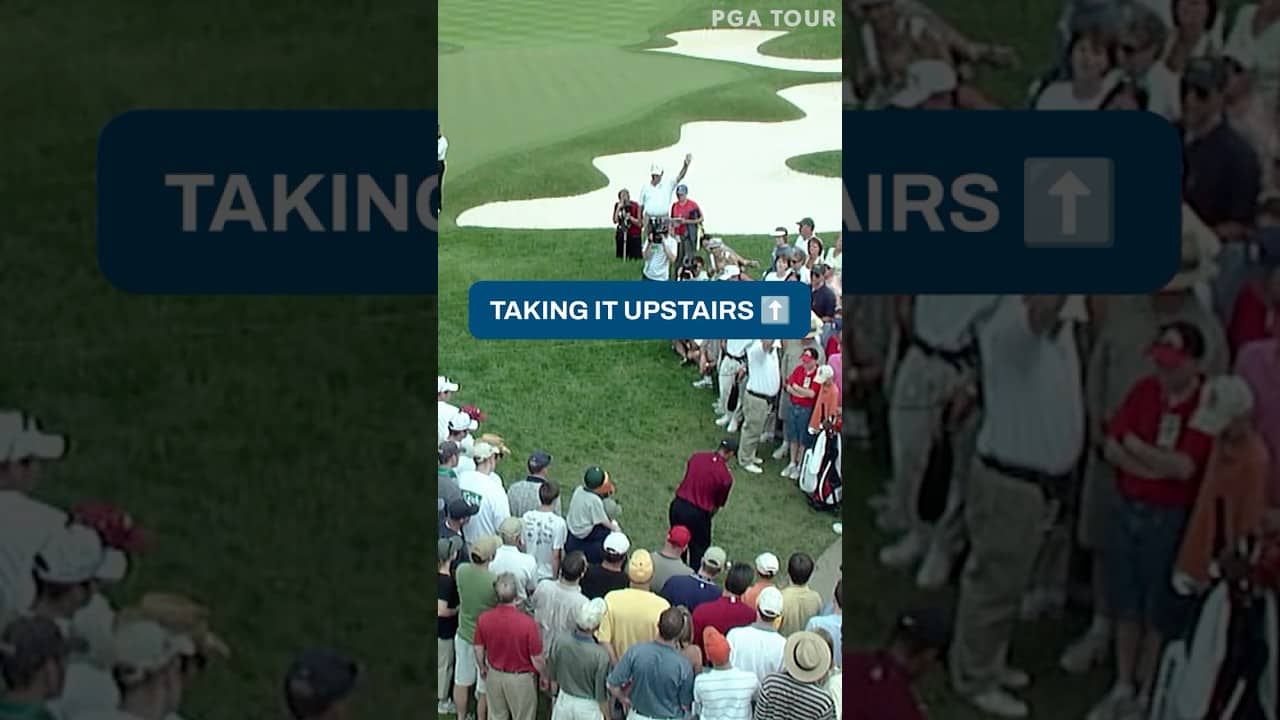 Tiger flop shot‼️