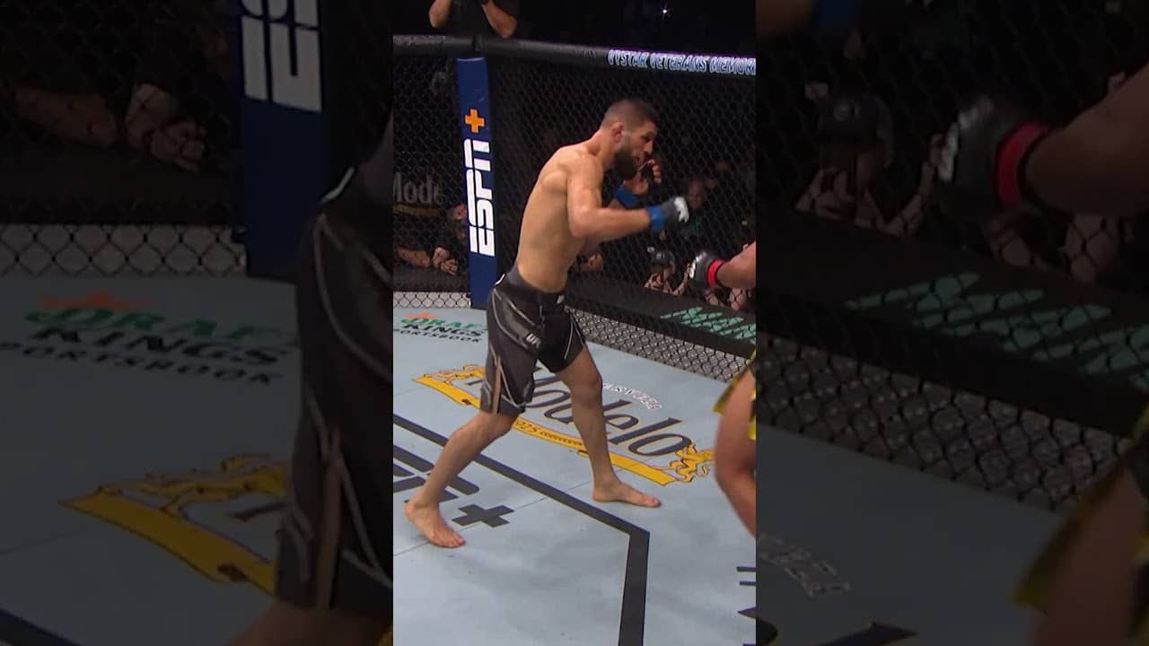 An absolute BRAWL #ufcwinnipeg