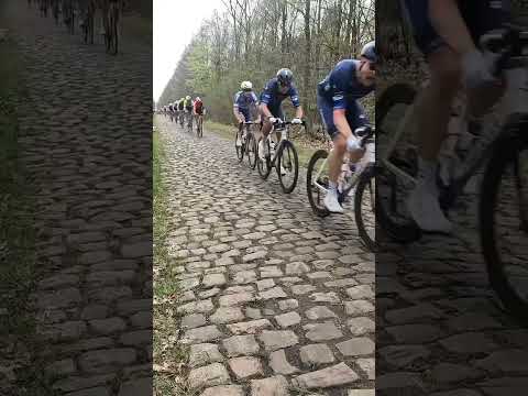 Mathieu van der Poel loves lighting up the race through the Forest of Arenberg 😳🌳