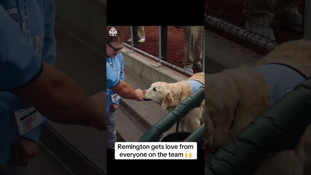 UNC got good luck from Remington before the MCWS Final ❤️ (via ncaabsb/TT)