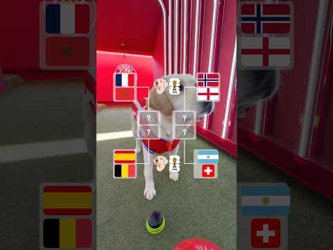 🔮🏆 Els pronòstics de la Canya pel que queda de Mundial!