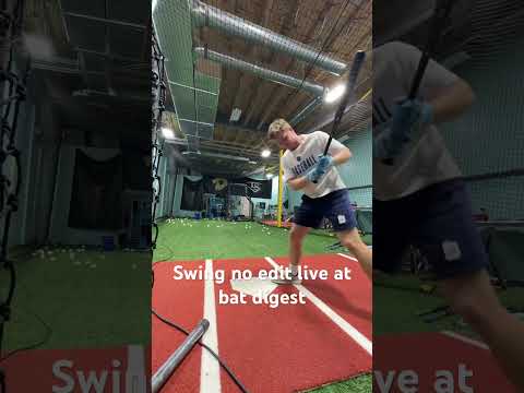 2025 Demarini The Goods One Short Review