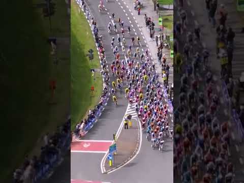 After nearly 160 km on the front, Bjerg sets up Pogačar for the business end of the Tour of Flanders