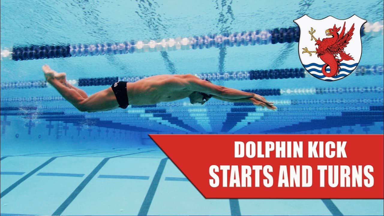 6-7 or 3-4? Discover the RIGHT Number of Dolphin Kicks for YOUR Speed (Proven Method)
