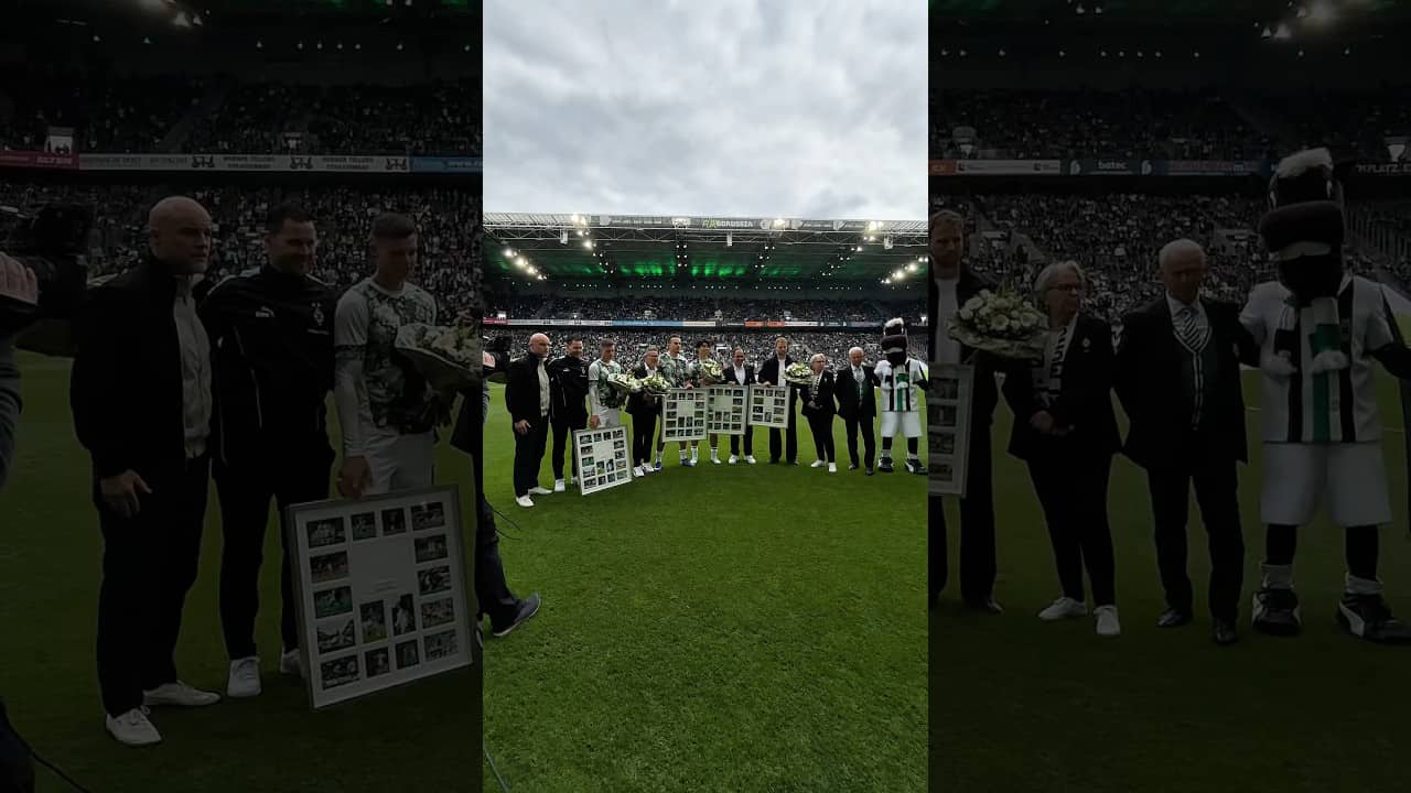 DANKE für euren Einsatz in 🖤🤍💚 #dieFohlen