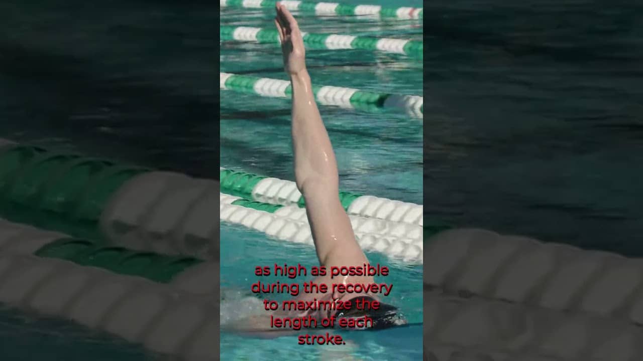 Backstroke Elevation Drill #theraceclub