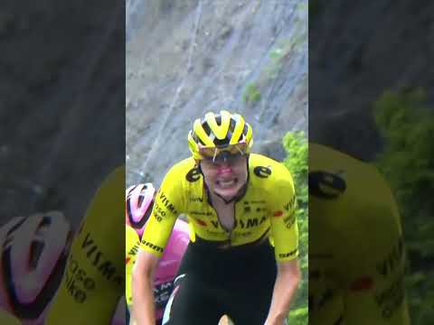 The pain face is BACK! 💥🦖Tim Rex is once again giving Vingegaard and the team his all at the Giro.