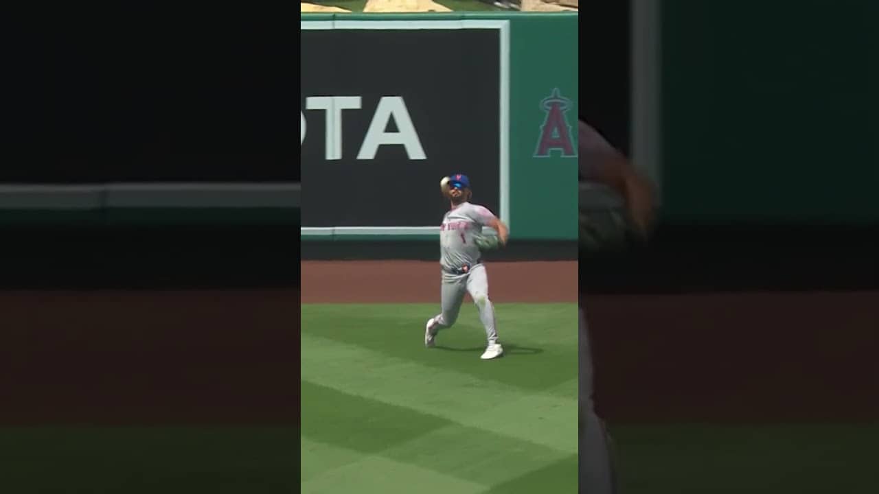 MJ Melendez lays out 🙌 #mlb #baseball #nymets