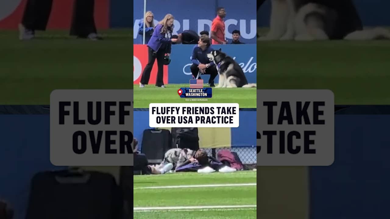 Vibes are high at US practice as Washington University mascot, Dubs,  have fun with the team