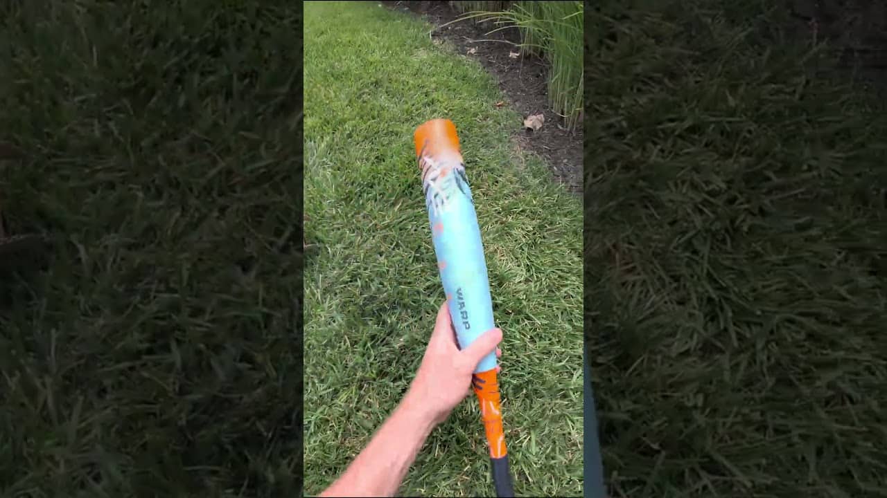 A wild Axe Bat has appeared!